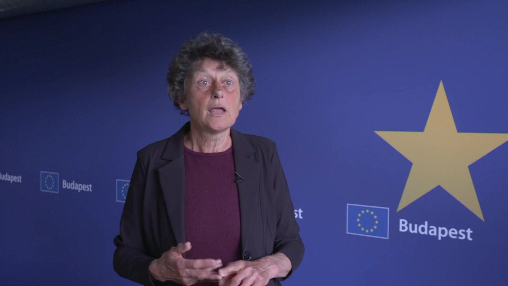 LIBE rule of law mission to Budapest (Hungary): arrival of the delegation, statement by Tineke STRIK (Greens/EFA, NL), head of the delegation and meeting with NGOs and organisations